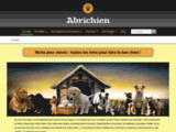 Abrichien, le guide d'achat pour trouver la meilleure niche pour votre chien