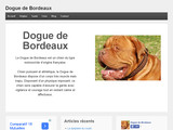 Dogue de Bordeaux