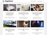 Supintern.fr - stages à l'étranger