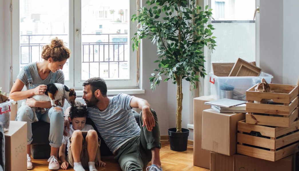 déménagement collaboratif